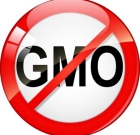 Boycott the Brands that Support GMOs