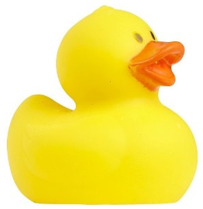 The little yellow rubber ducky--fun for all ages.