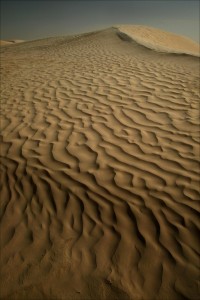 The Sahar Desert had a better texture than my decolletage, until NeriumAD night cream.