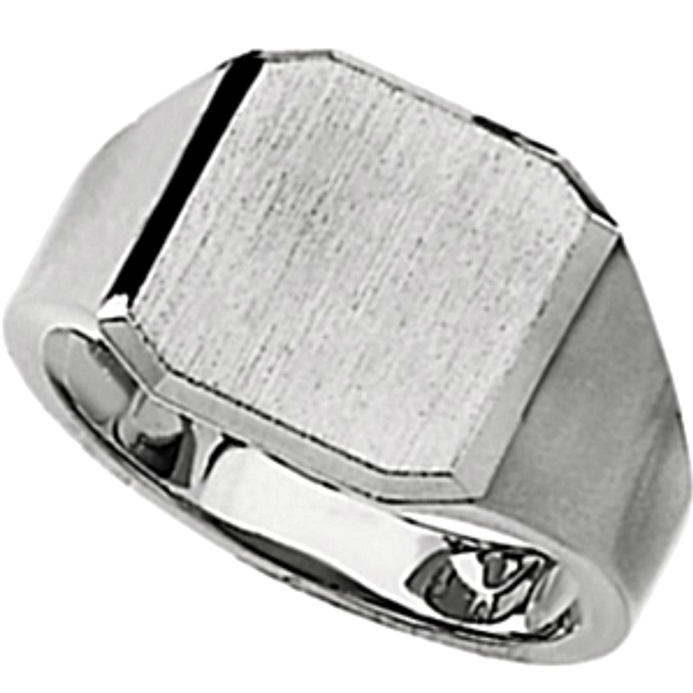 Men's 14k White Gold 14mm Brush Top Finish Signet Ring. 