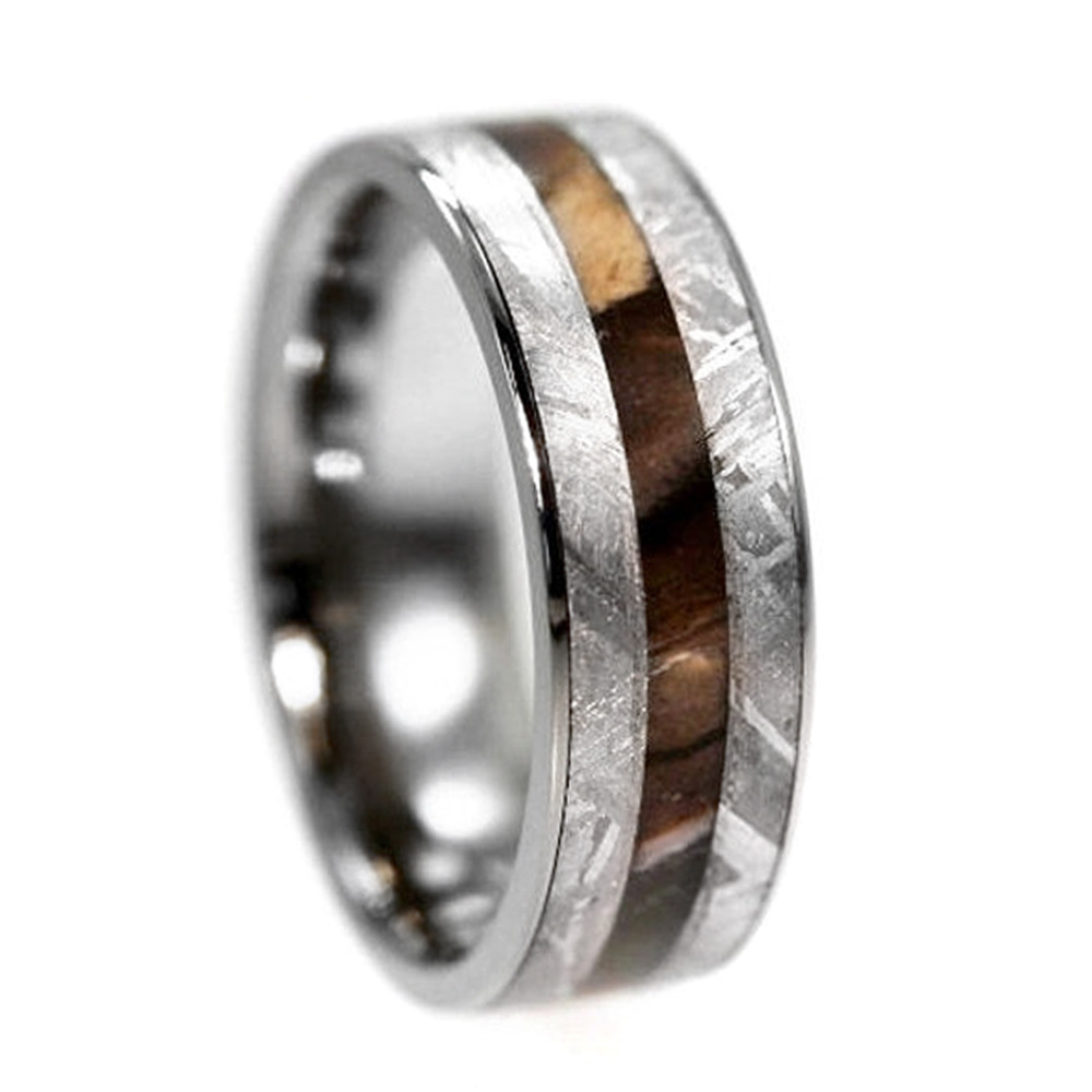 Gibeon Meteorite with Petrified Wood Inlay 7mm Comfort-Fit Polished Titanium Ring.