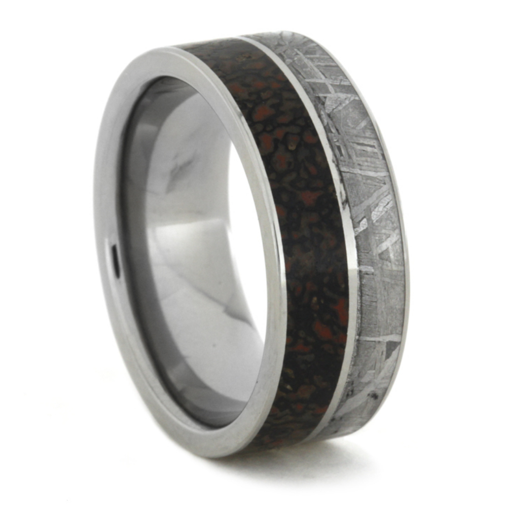 Dinosaur Bone and Gibeon Meteorite 8.5mm Comfort-Fit Polished Titanium Band 