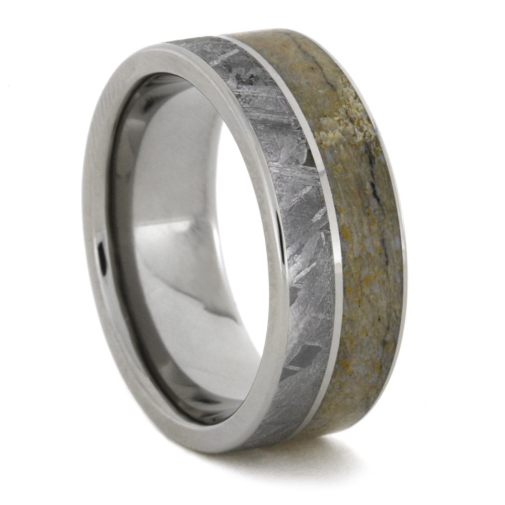 Dinosaur Bone and Holding Gibeon Meteorite with Titanium Pinstripe 8.5mm Comfort-Fit Polished Titanium Band 