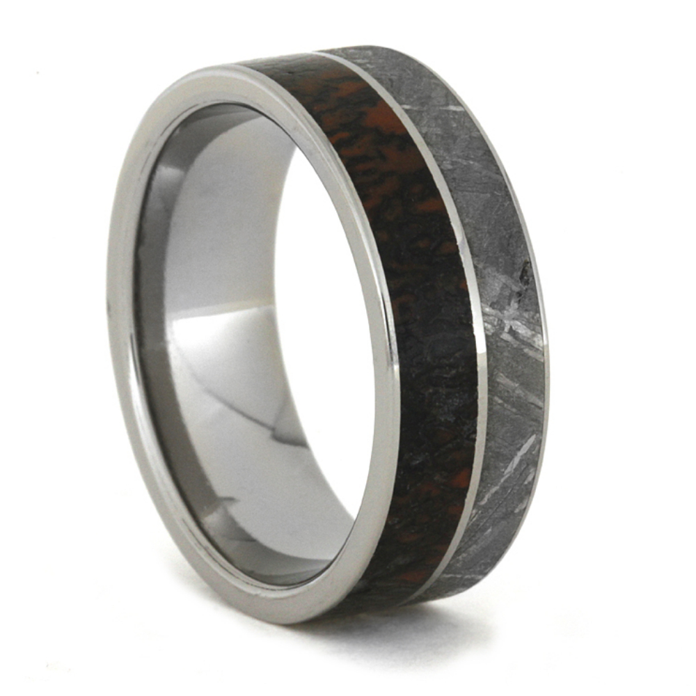 Dinosaur Bone with Gibeon Meteorite and Titanium Pinstripe 8.5mm Comfort-Fit Polished Titanium Band 12