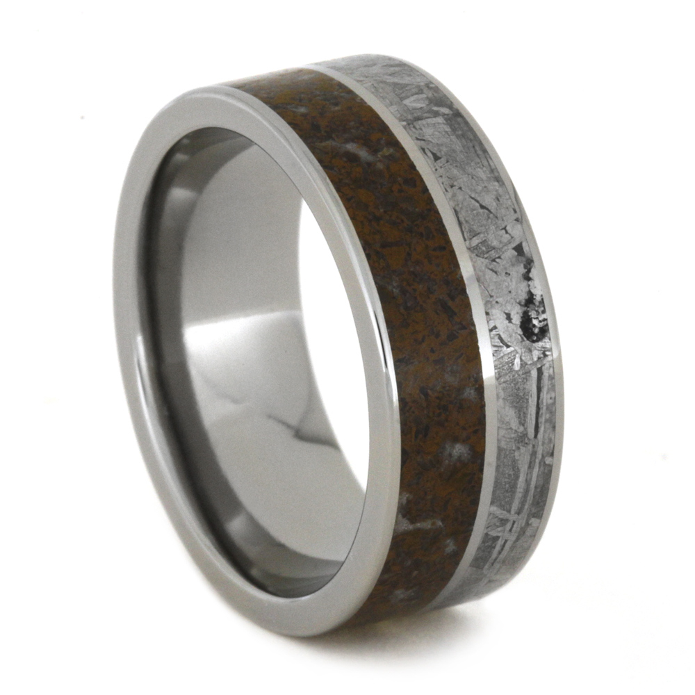 Dinosaur Bone and Gibeon Meteorite with Titanium Stripe 8.5mm Comfort-Fit Polished Titanium Band 