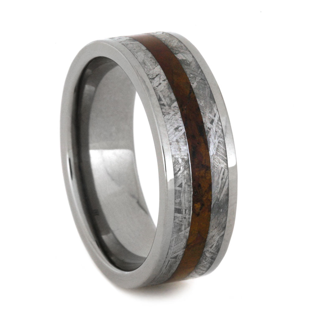 Gibeon Meteorite with Petrified Wood Inlay 8mm Comfort-Fit Polished Titanium Ring.