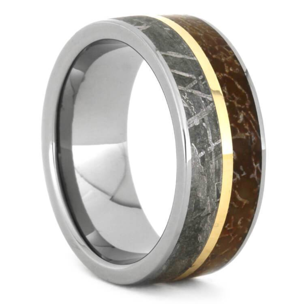 Dinosaur Bone Gibeon Meteorite 14k Yellow Gold 8mm Titanium Comfort-Fit Wedding Band