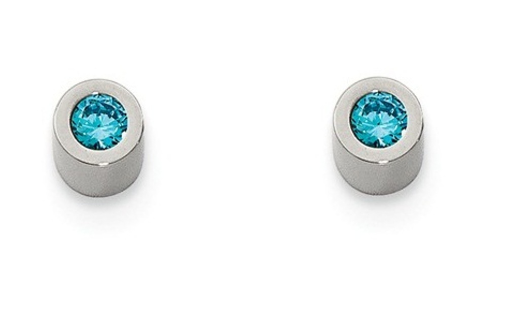 Stainless Steel Cubic Zirconia March Birthstone Post Earrings 