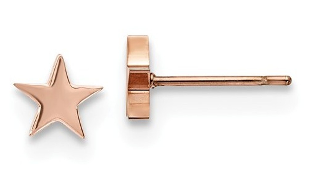 Rose IP Stainless Steel  Star Post Earrings