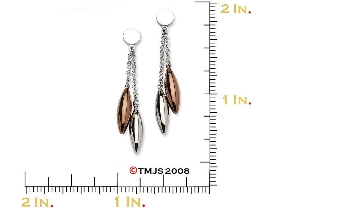 Brown IP Stainless Steel Dangle Post Earrings