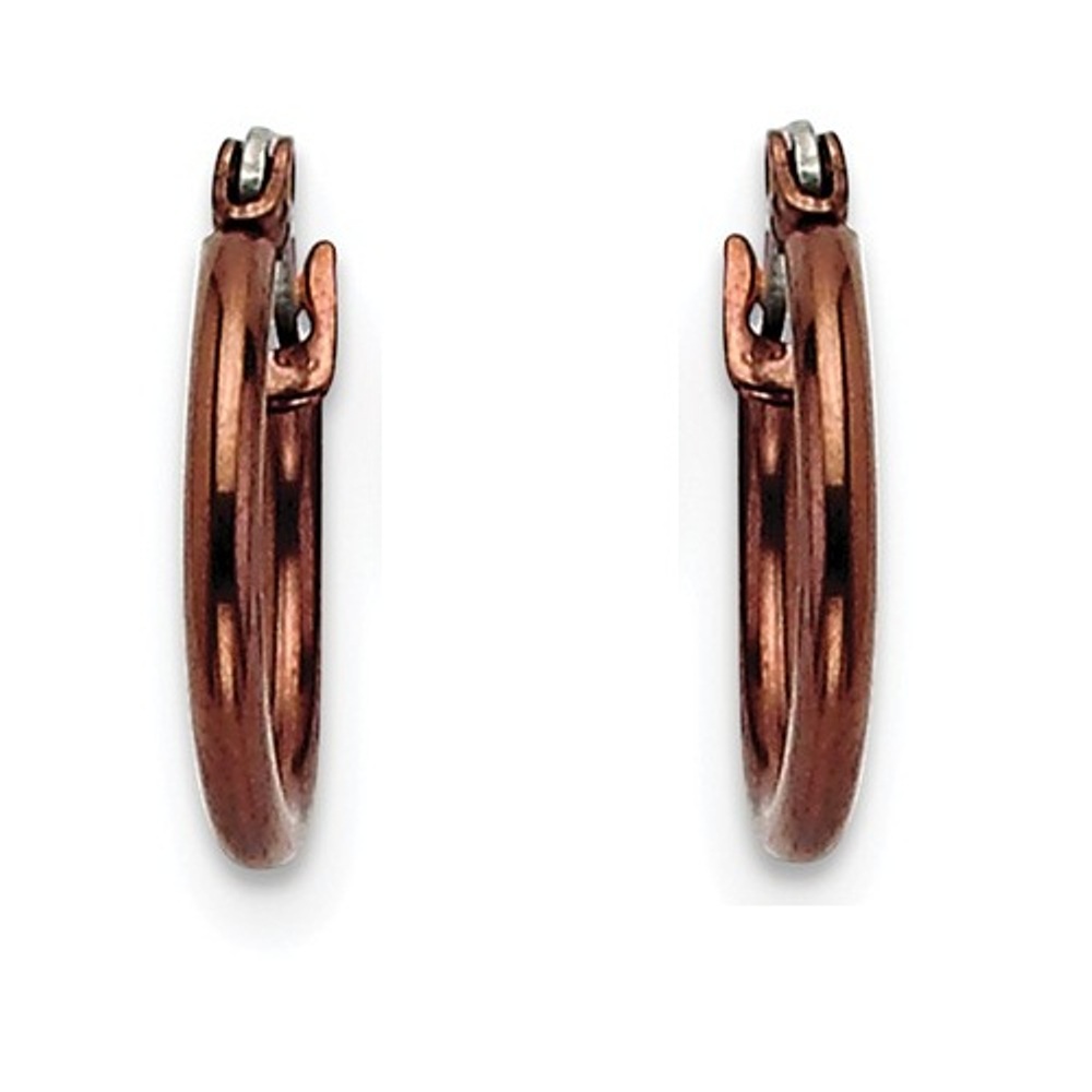 Brown IP Stainless Steel Hoop Earrings