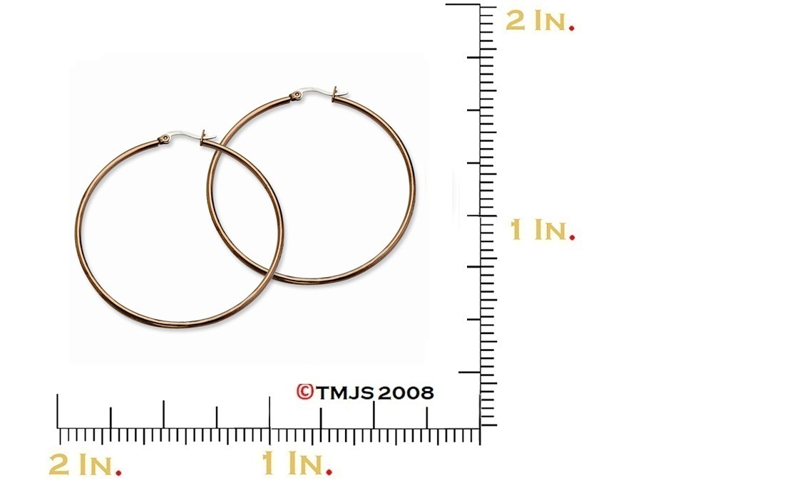 Brown IP Stainless Steel Hoop Earrings