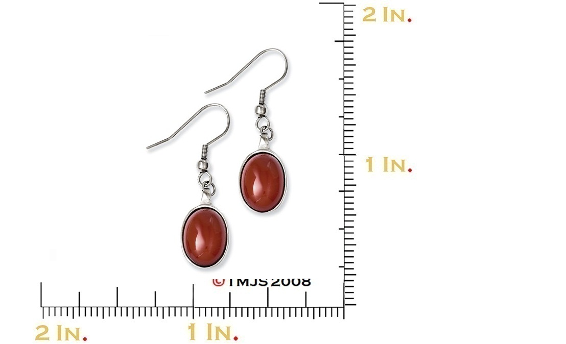 Polished Stainless Steel Red Agate Dangle Earrings